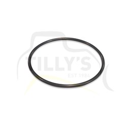 SEAL - O RING
