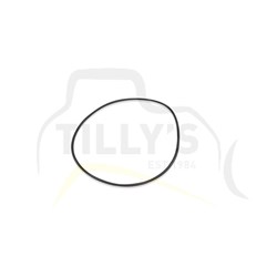 SEAL - O RING 307 BLADE LIFT
