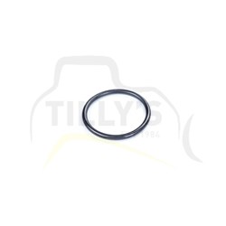 SEAL - O RING