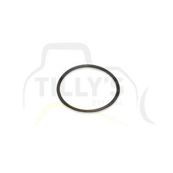 SEAL - O RING