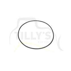 SEAL-  O RING