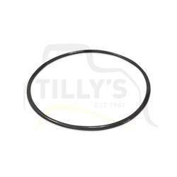 SEAL - O RING HYD DIPPER