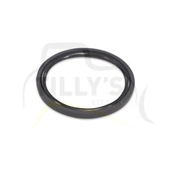 RING - SEAL KIT