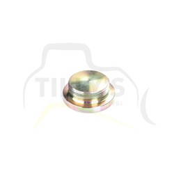 PLUG D7-D8 SUMP 2" THREAD
