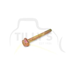 BOLT - FLANGE HEAD