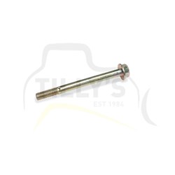 BOLT - FLANGE HEAD