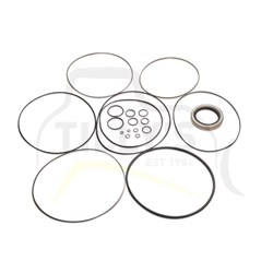 KIT - SEAL HYD T/MTR 325B BL