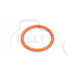 SEAL - O RING