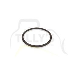 SEAL - O RING