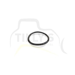 SEAL - O RING