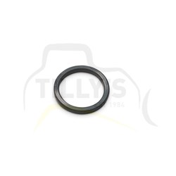 SEAL - ORING INJECTOR 3412E