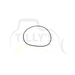SEAL - O RING