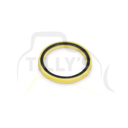 SEAL ASSY - IDLER GRP FRONT