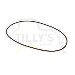 SEAL - O RING FILTER GRP