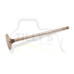 VALVE - EXHAUST 3116 3126
