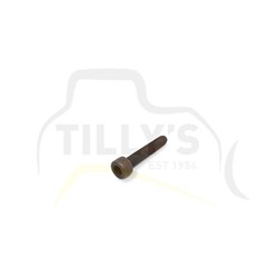 BOLT - SOCKET HEX  M10 X 30MM