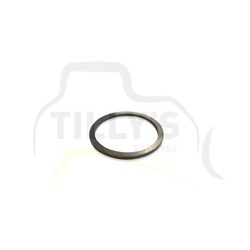 SEAL - RING D150A