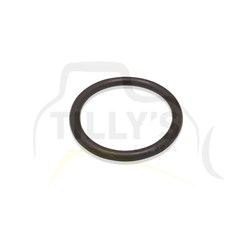 SEAL - O RING