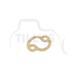 GASKET - GOVERNOR