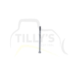 GASKET - TRANS D85-21