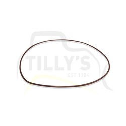 SEAL - O RING WATER PUMP