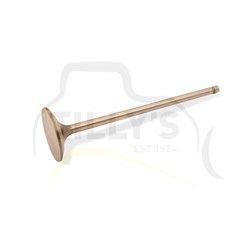 VALVE - INLET 3116 3126