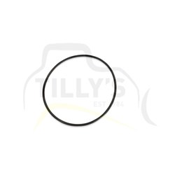SEAL - O RING