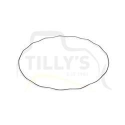 SPRING - TRANS D155