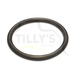 SEAL - O RING DUO SEAL