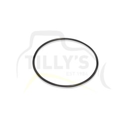 SEAL - O RING