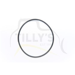 SEAL - O RING