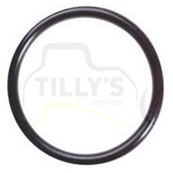 SEAL - O RING GEOR3,53X126,59N