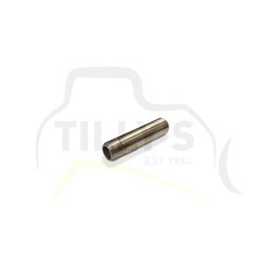 GUIDE - VALVE INLET 3056
