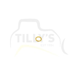 SEAL - ORING CYL HEAD SENSOR