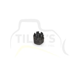NUT - CASTELLATED 25.4MM