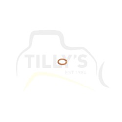 GASKET - VALVE INJECT FUEL D7