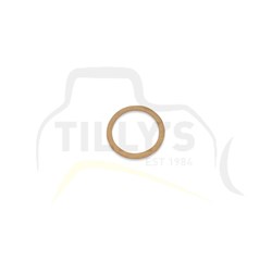 GASKET - IDLER D7 17A