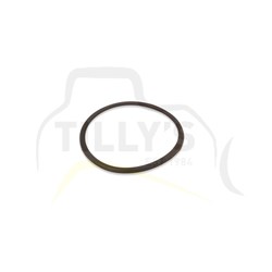 SEAL - O RING