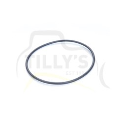SEAL - O RING