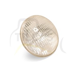 LAMP - ELECTRIC FLOOD 6V