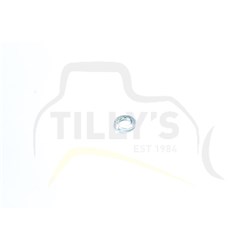 IMPELLER - PUMP WATER D6 8U