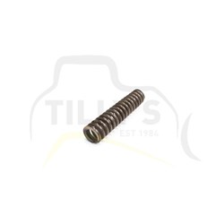 SPRING - PUMP OIL ENGINE