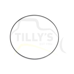 SEAL - RING TRANS   015 O/S