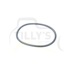 SEAL - O RING