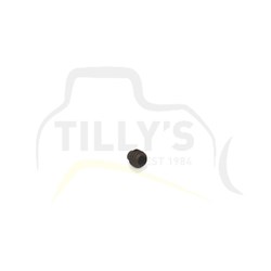SCREW - T/CONVERTER