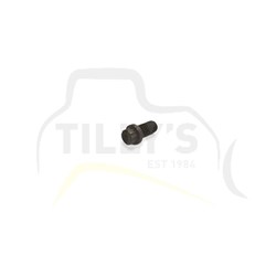 BOLT - 12 PT HEAD UNC 3/8 X
