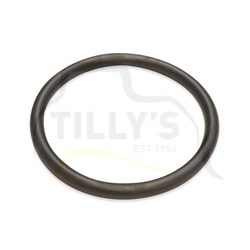 SEAL - O RING