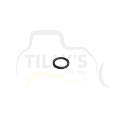SEAL - ORING COOLANT LINE C4.4