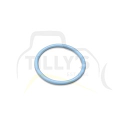 SEAL - O RING