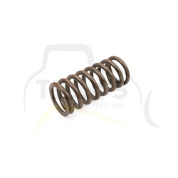 SPRING - VALVE OUTER 3406E